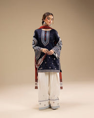 DASTAAN Embroidered 3-Piece Set – Premium Stone Linen (Winter Collection)
